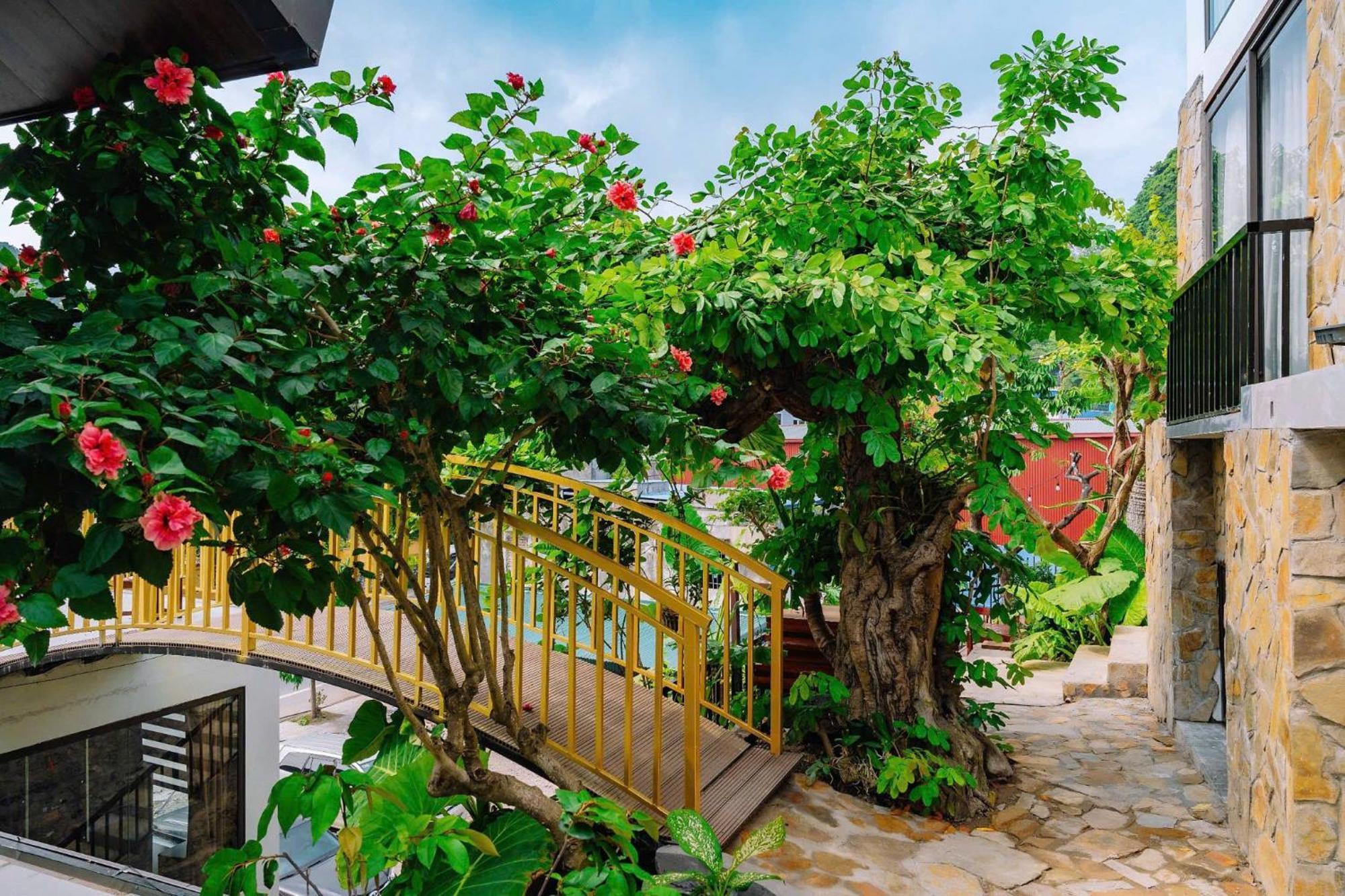 Ecorest Villa Cat Ba Chan Chau Dış mekan fotoğraf
